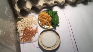 Разведение и содержание сверчков