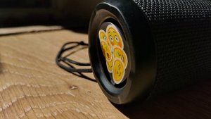 JBL Flip 3 EXTREME BASS TESTING | PASSIVE FLEX | LFM ?