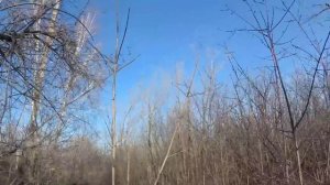 Я КУПИЛ МЕТАЛЛОИСКАТЕЛЬ С АЛЛИЭКСПРЕСС ДЛЯ ПОИСКА ЧЕРМЕТА  HOOMYA GC 1071  Коп металла 2023