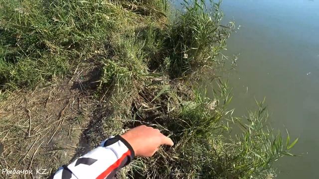СУПЕР РЫБАЛКА НА РЕКЕ ИЛИ РАЙОН КОКТАЛА,САЗАН,СУДАК,КАРАСЬ,ВОБЛА!!!ЧАСТЬ 2