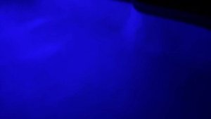 Как живет средний класс в США Флорида. Рум тур и прогулка по району.