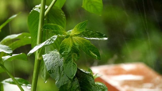 Native Style Flute in a thunder storm! -"Lightning" смотреть онлайн