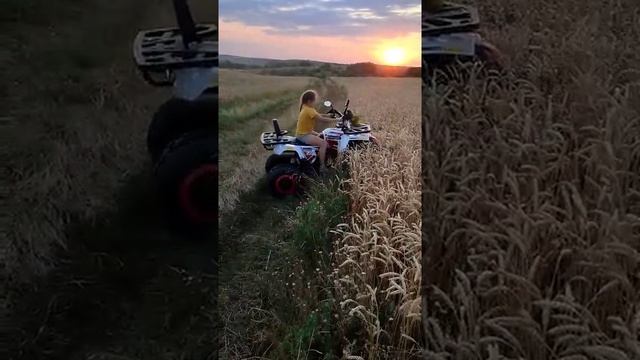 квадроцикл Forte braves 200 LUX смотреть онлайн