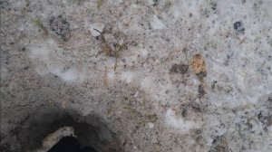 Морозное пучение в действии. Что делать?