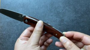 My First Petrified Fish | PF719 First Impressions