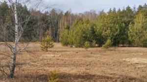 Весенний выезд в поля. Реабилитация после курса химиотерапии (лимфобластный лейкоз).