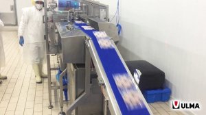 Автоматизированное решение для индивидуальной и групповой упаковки замороженных гамбургеров