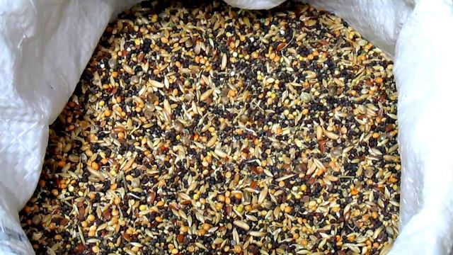 #Корм для канареек смотреть онлайн