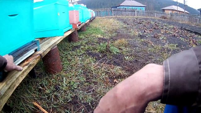 11.09.2021 Сетчатое дно и вентиляция