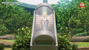 Раскрытие Супер кота . Бражник понял кто такой супер кот. Недолговечный Леди баг и супер кот