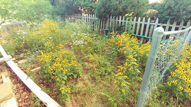 первый день в США после 5 месяцев в Украине смотреть онлайн