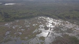 Дорофеево (Орехово-Зуево) торфяные карьеры - низкий полет