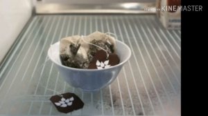 Почему я не выкидываю использованные чайные пакетики. 6 способов применения