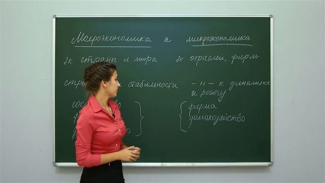 Обществознание. Экономика. Микроэкономика и макроэкономика. Центр онлайн-обучения «Фоксфорд»