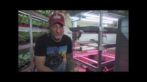 Апгрейд стеллажа для гидропоники своими руками