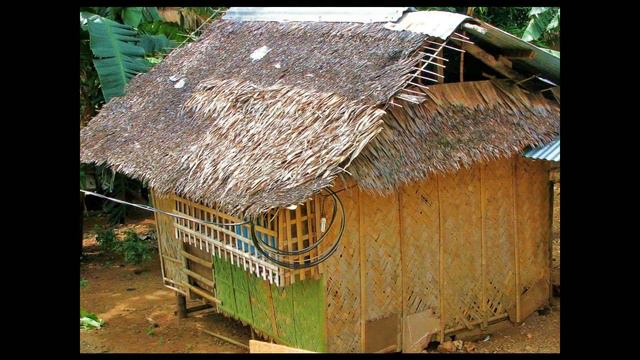 В дебрях острова Боракай (Филиппинские острова) смотреть онлайн