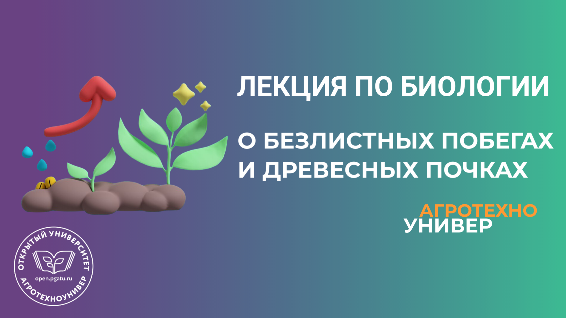 Проект открытый университет пермь