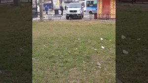 Поведение полицейских Выборгского района СПб