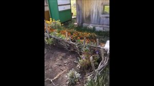 Поездка к брату в гости в село Старый Аманак  Похвистневского района Самарской области