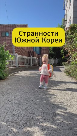 Странности Южной Кореи