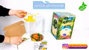 Ферма бабочек от Магазина бабочек. ру