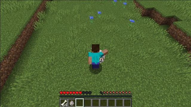 Сердечки когда гладишь собаку | Обзор мода на анимацию для собак Pet Your Wolf смотреть онлайн