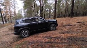 Haval Dargo X Бездорожье и лес 29 октября 2023 г.
