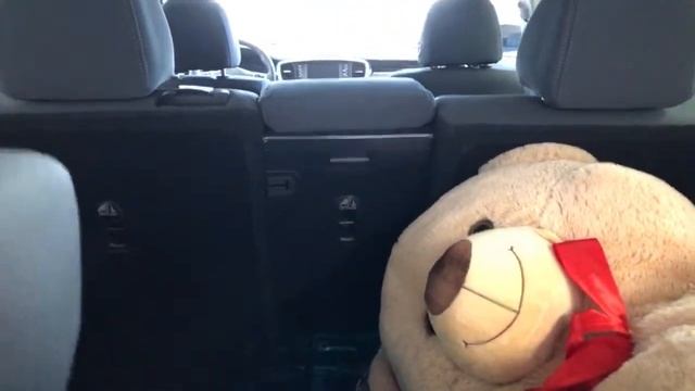 LIVE: 2020 Kia Sorento Black Edition! Ask me your questions! смотреть онлайн