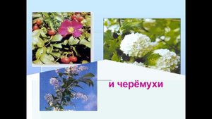 части растений 1 класс презентация