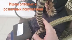 Подвесное кресло-качалка