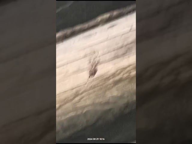 30 августа 2024 г. смотреть онлайн