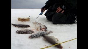 Рыбалка на льду Камского водохранилища