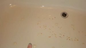 Remove Permanent Stains from an Acrylic bath Surface [Before & After] || SURFACE INTEGRITY Montreal