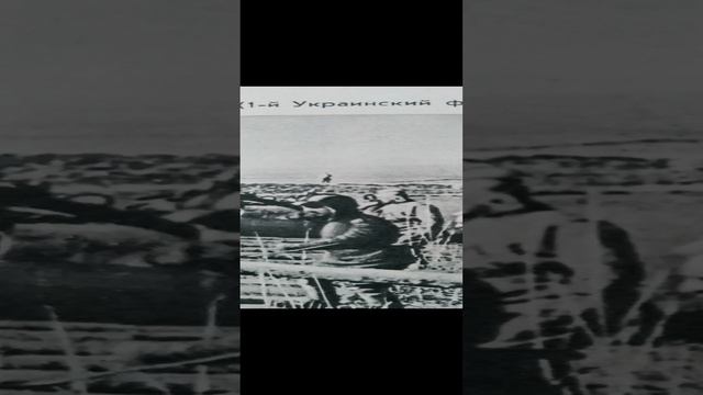 Фотохроника к 80-летию освобождения Николаева и Одессы!
