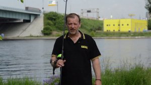 Карпфишинг: Удилище карповое Sportex Purista 13ft 3,75lb. Карптэкл