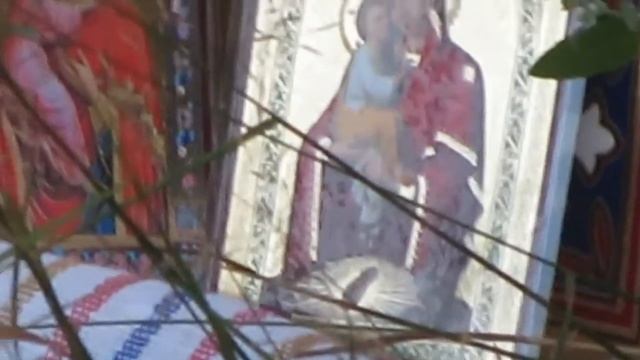 #БогородичныйКрестныйХод по #поЮжскойЗемле-#молитваоРоссии