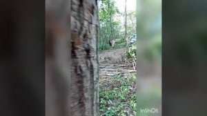Дорога на водопад Атыш Уаз патриот Бездорожье