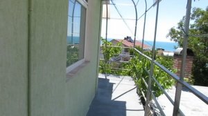 Ливанский Кедр,Орджо-22