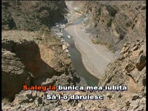 Vacanța la bunici. Karaoke