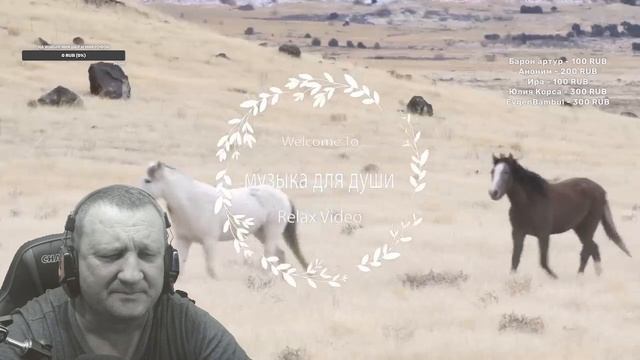 Журавли улетели