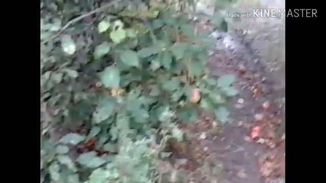 Рыбалка на спиннинг. Дон. Иловля. Природа. И многое другое...