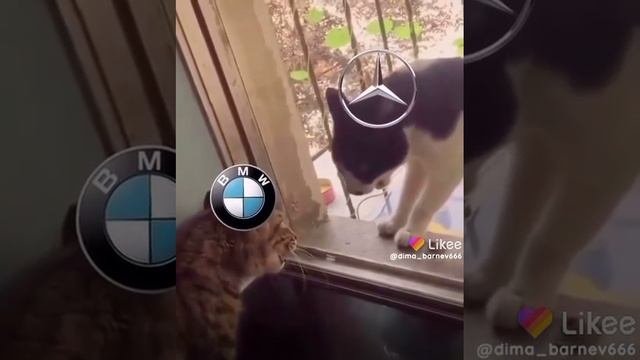 спор