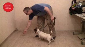 Команда ко мне, ТРИ ПРАВИЛА, которые необходимо знать каждому