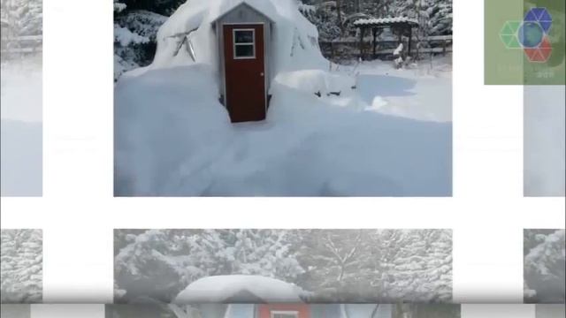 Купольная теплица.Почему она лучше прямоугольной? Плюсы и минусы купольной. Примеры своими руками. смотреть онлайн