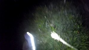 ЗА РАКАМИ НА САМОДЕЛЬНУЮ ОСТРОГУ ǀ НОЧНАЯ ЛОВЛЯ РАКОВ