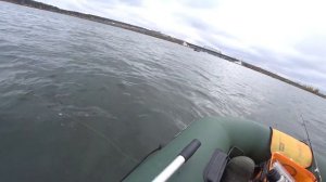 ЭТОТ БАЛАНСИР КОСИТ РЫБУ на зимнюю удочку.... Спиннинг отдыхает! Рыбалка 2021 на судака и окуня.