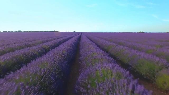 Сестра требует содержать ее потому, что она развелась и мама на меня давит тоже. смотреть онлайн