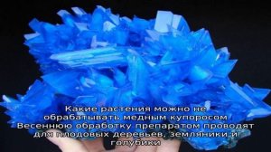 Сезонные обработки растений медным купоросом