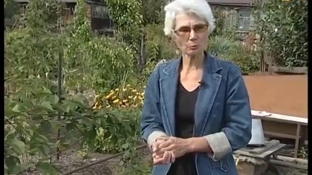 Ежевика: размножение - проще не бывает! смотреть онлайн