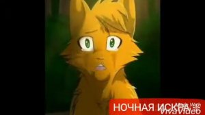 Коты воители ~клип~пестролистая